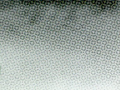 SN33829
