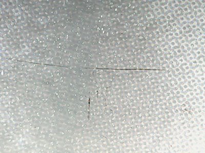 SN33829
