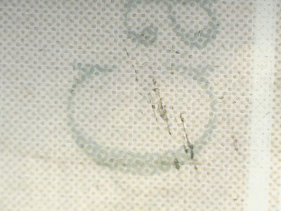 SN33831