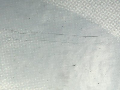 SN33831