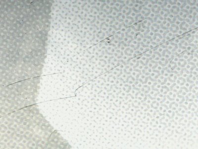 SN33833