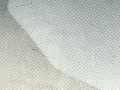 SN33833