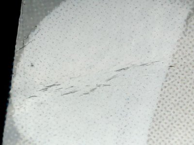 SN33834