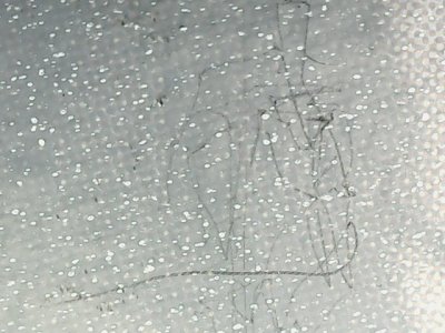SN33834