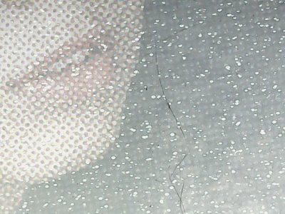 SN33834