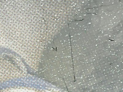 SN33834