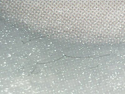 SN33834