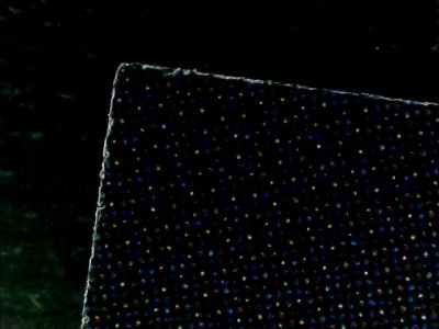 SN33834