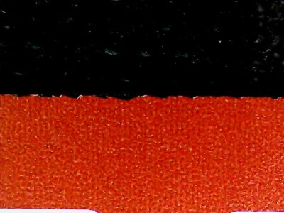 SN33835