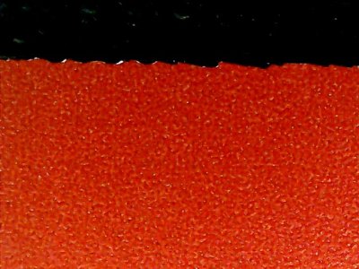 SN33835