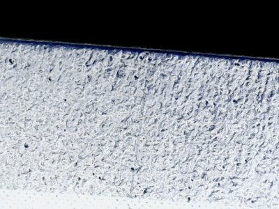 SN33846