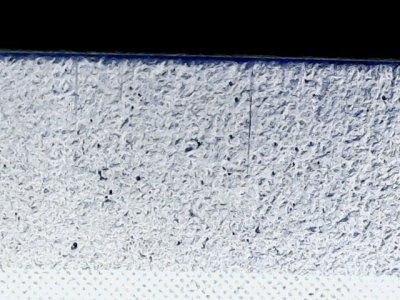 SN33846