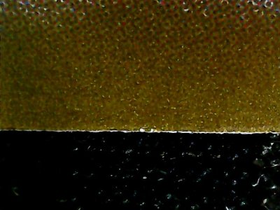 SN33848