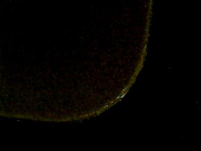 SN33849