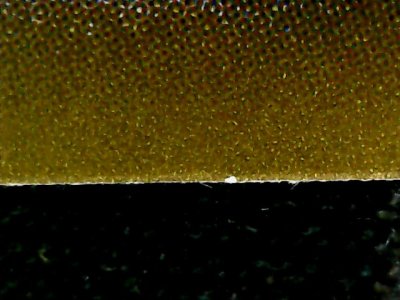 SN33854