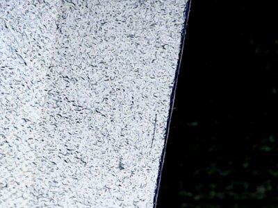 SN33876