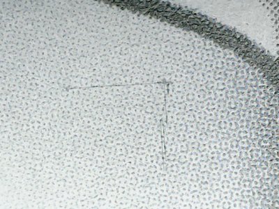 SN33878