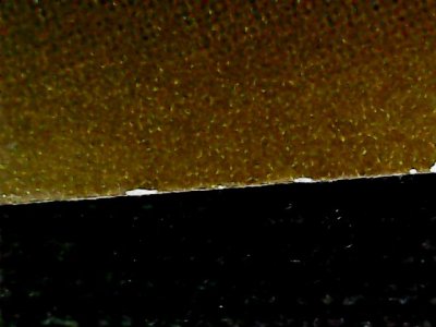 SN33872