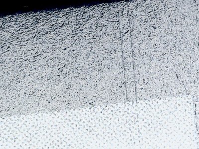 SN33943