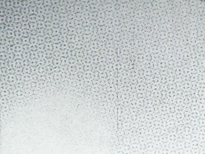 SN33884