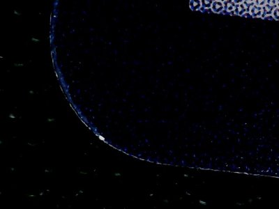 SN33890