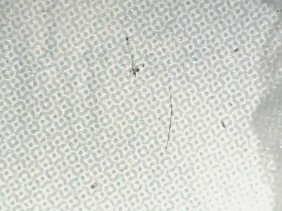 SN33907