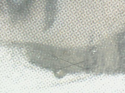 SN33910