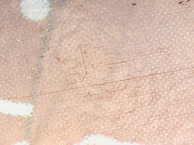 SN33912