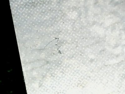 SN34082