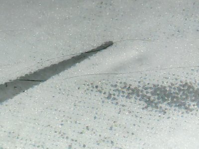 SN34086