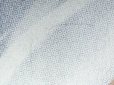 SN34103