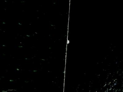 SN34182