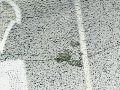 SN34187