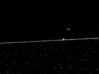 SN34187