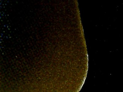 SN34189