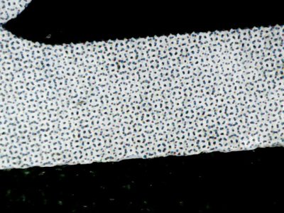 SN34190