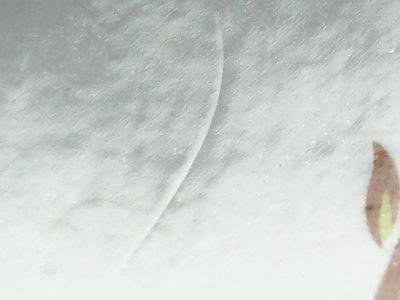 SN34193