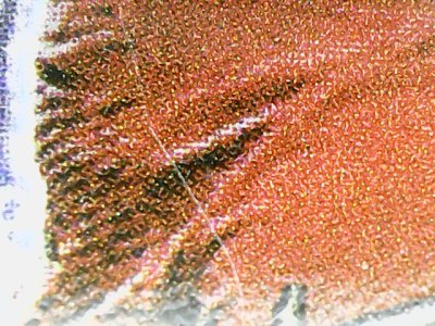 SN34194
