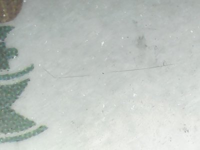 SN34194