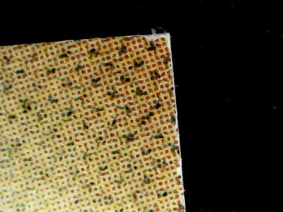 SN34195