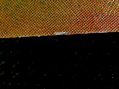 SN34229