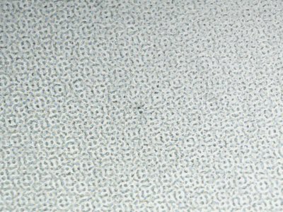 SN34224