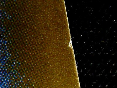 SN34234