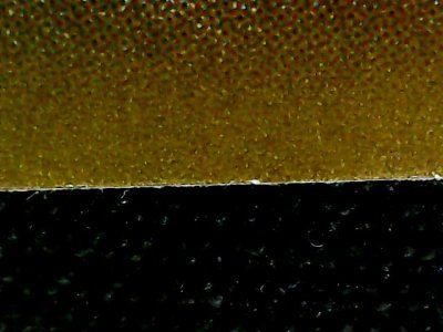 SN34236