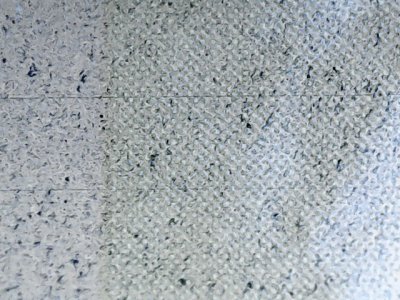 SN34238