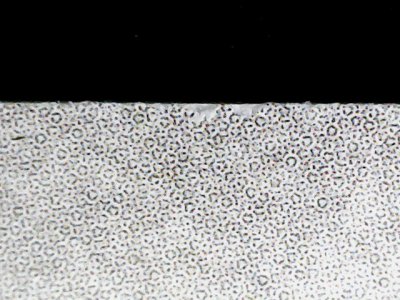 SN34245