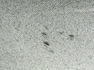 SN34250