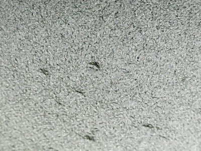 SN34250