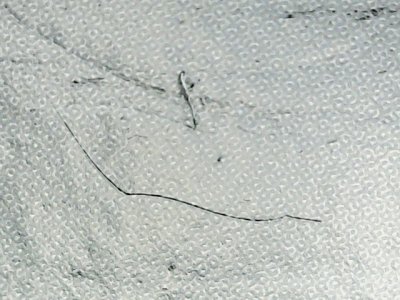 SN34251
