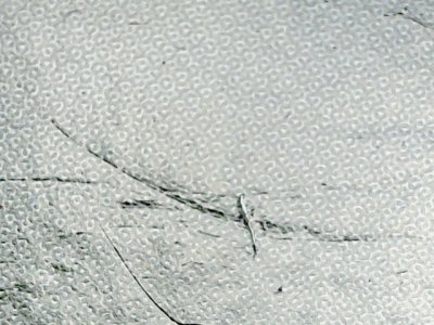 SN34251
